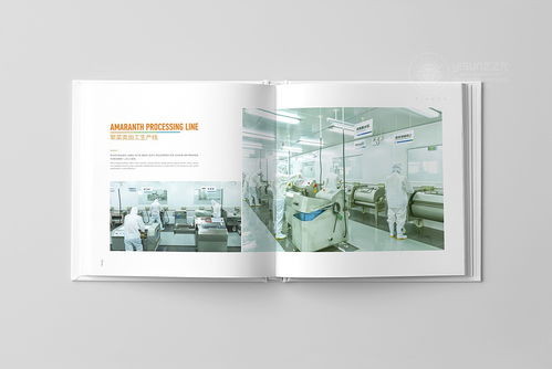 鮮譽品牌觸覺 企業(yè)形象畫冊與宣傳冊設(shè)計理念